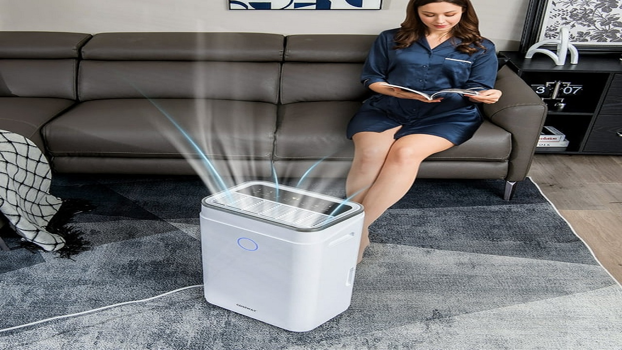 How Dehumidifiers Can Extend the Shelf Life of Products in Your Homes