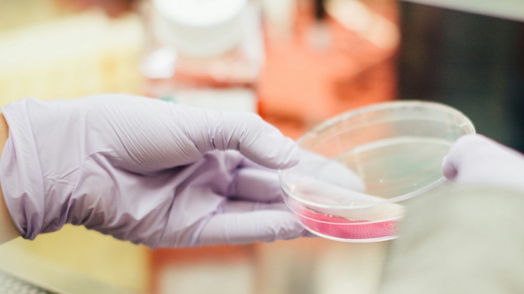 Glutathione Powder for Supplement Brands: How to Choose the Right Form